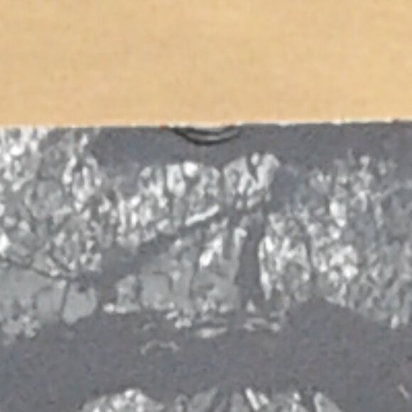 Collection of Vintage Photo Prints - Picture 6 of 6